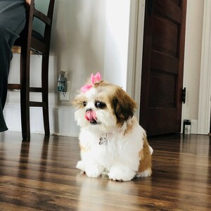 Fundraising Page: Kailen Kluge